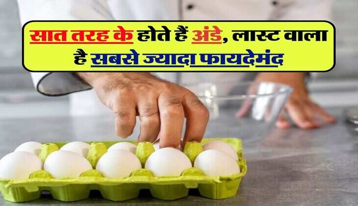 Egg Benefits : सात तरह के होते हैं अंडे, लास्ट वाला है सबसे ज्यादा फायदेमंद