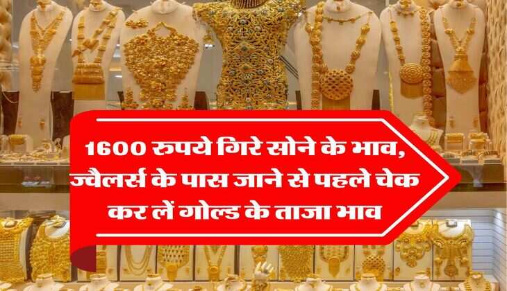 Gold Rates : 1600 रुपये गिरे सोने के भाव, ज्वैलर्स के पास जाने से पहले चेक कर लें गोल्ड के ताजा भाव