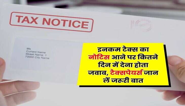 Income Tax Notice : इनकम टैक्स का नोटिस आने पर कितने दिन में देना होता जवाब, टैक्सपेयर्स जान लें जरूरी बात