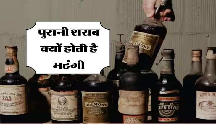 Old Whiskey : पुरानी शराब क्यों होती है महंगी, बोतलों पर लिखे 7 Years, 12 Years... जानिये इसका असल मतलब