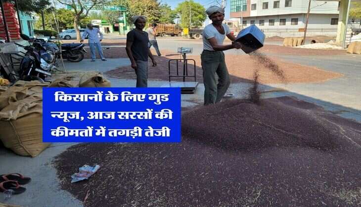 Sarso Bhav : किसानों के लिए गुड न्यूज, आज सरसों की कीमतों में तगड़ी तेजी 
