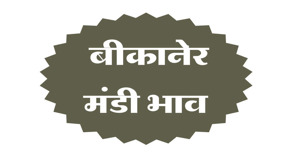 बीकानेर मंडी भाव 11 अक्टूबर 2026: मेथी-चना और खड़बा में तेजी, मूंगफली-ग्वार में मंदी