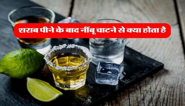 liquor with lemon : शराब पीने के बाद नींबू चाटने से क्या होता है, स्टडी में हुआ खुलासा