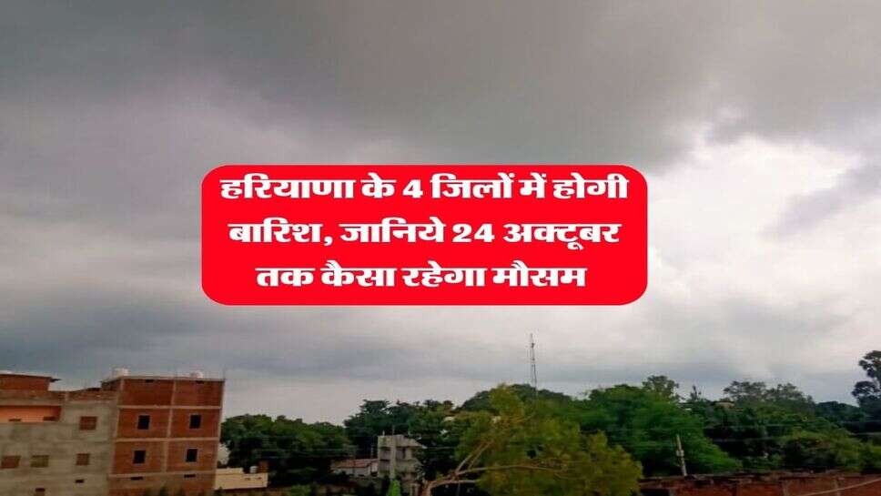 Haryana Ka Mausam : हरियाणा के 4 जिलों में होगी बारिश, जानिये 24 अक्टूबर तक कैसा रहेगा मौसम&nbsp;