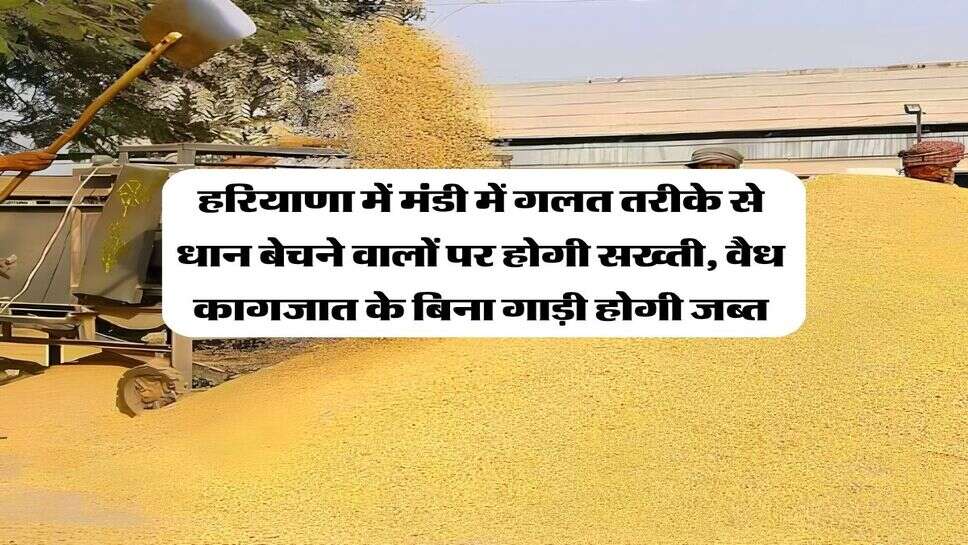 हरियाणा में&nbsp;मंडी में गलत तरीके से धान बेचने वालों पर होगी सख्ती, वैध कागजात के बिना गाड़ी होगी जब्त