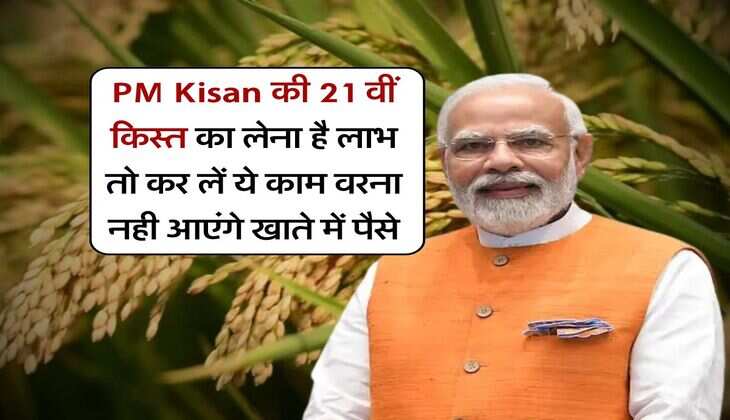 PM Kisan की 21 वीं किस्त का लेना है लाभ तो कर लें ये काम वरना नही आएंगे खाते में पैसे