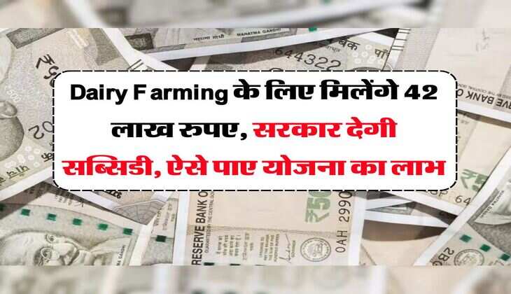 Dairy Farming के लिए मिलेंगे 42 लाख रुपए, सरकार देगी सब्सिडी, ऐसे पाए योजना का लाभ