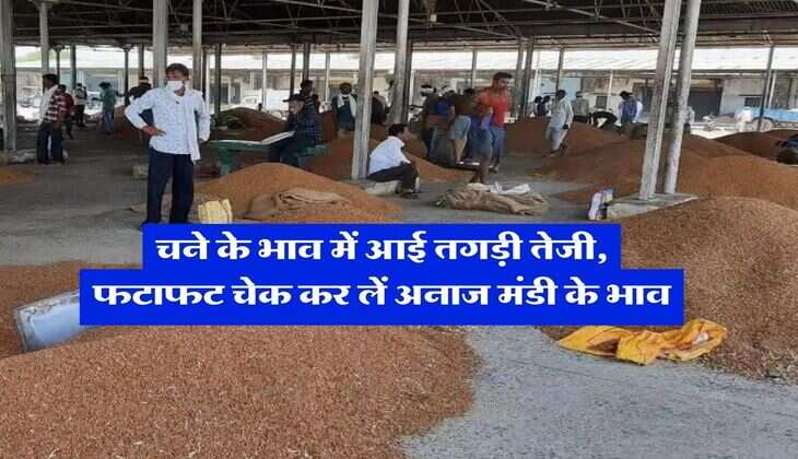 Aaj ka Mandi Bhav Chana : चने के भाव में आई तगड़ी तेजी, फटाफट चेक कर लें अनाज मंडी के भाव