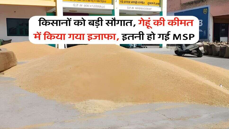 Wheat Price : किसानों को बड़ी सौगात, गेहूं की कीमत में किया गया इजाफा, इतनी हो गई MSP