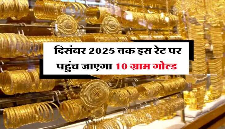 Gold Rate : दिसंबर 2025 तक इस रेट पर पहुंच जाएगा 10 ग्राम गोल्ड