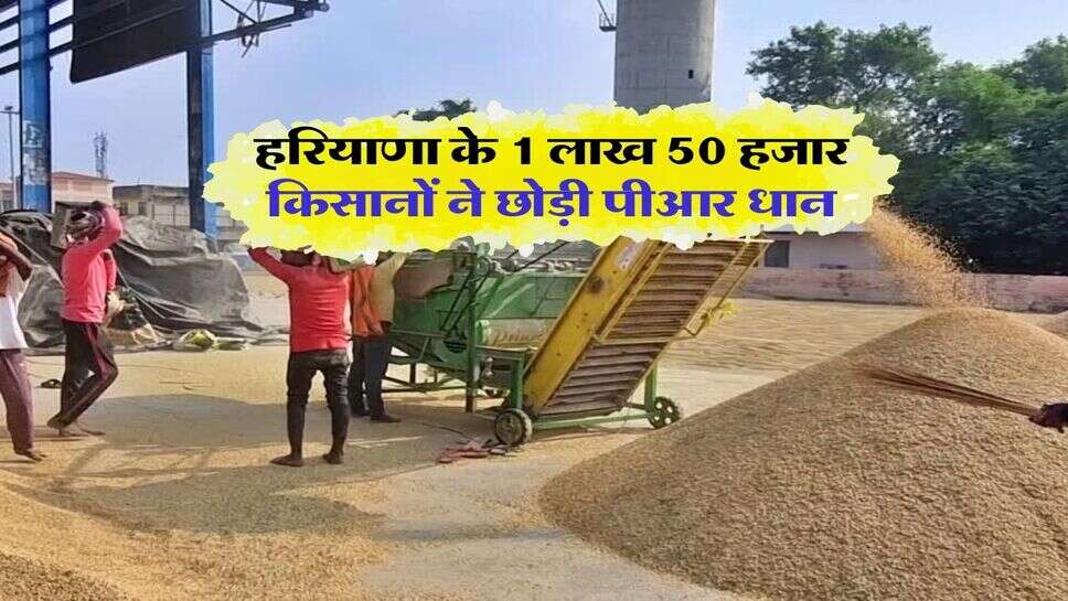 Haryana News : हरियाणा के 1 लाख 50 हजार किसानों ने छोड़ी पीआर धान
