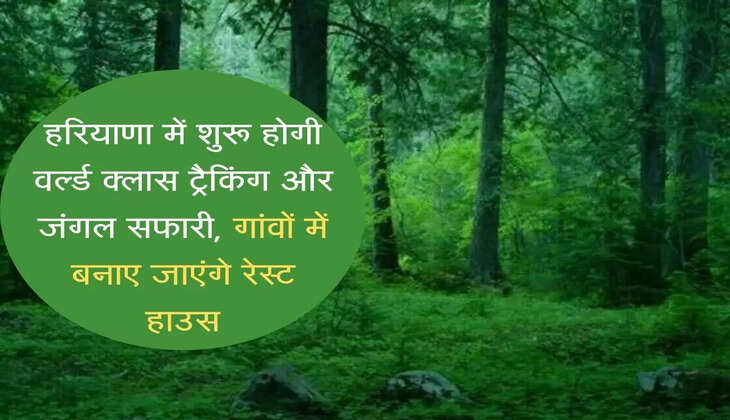 World class trekking and jungle safari will start in Haryana