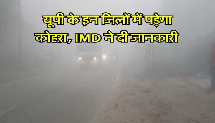 UP Weather Update : यूपी के इन जिलों में पड़ेगा कोहरा, IMD ने दी जानकारी&nbsp;
