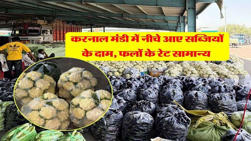 करनाल मंडी भाव 6 अक्टूबर : करनाल मंडी में नीचे आए सब्जियों के दाम, फलों के रेट सामान्य