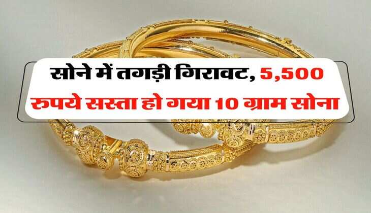 Gold Rate : सोने में तगड़ी गिरावट, 5,500 रुपये सस्ता हो गया 10 ग्राम सोना  