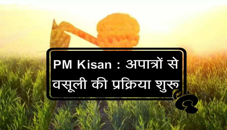PM Kisan : 12 करोड़ किसानों का जल्द खत्म होगा इंतजार, वहीं अपात्रों से वसूली प्रक्रिया शुरू