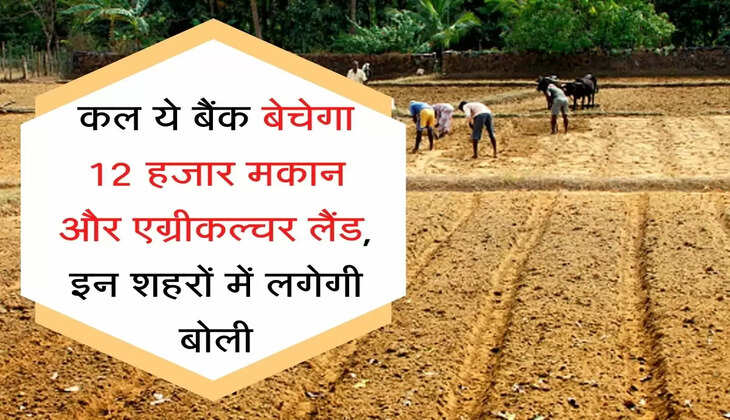 Home Land auction कल ये बैंक बेचेगा 12 हजार मकान और एग्रीकल्चर लैंड, इन शहरों में लगेगी बोली
