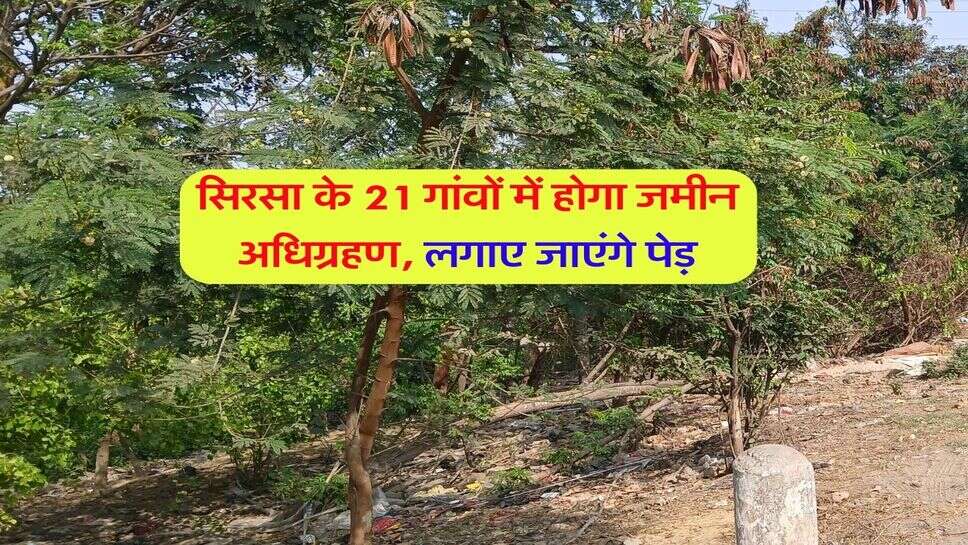 सिरसा के 21 गांवों में होगा जमीन अधिग्रहण, लगाए जाएंगे पेड़