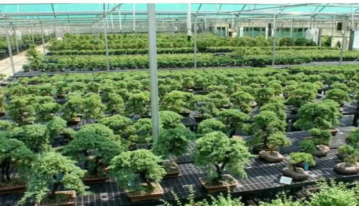 2 हजार रुपये से शुरू करें ये खेती, 4 लाख की होगी कमाई