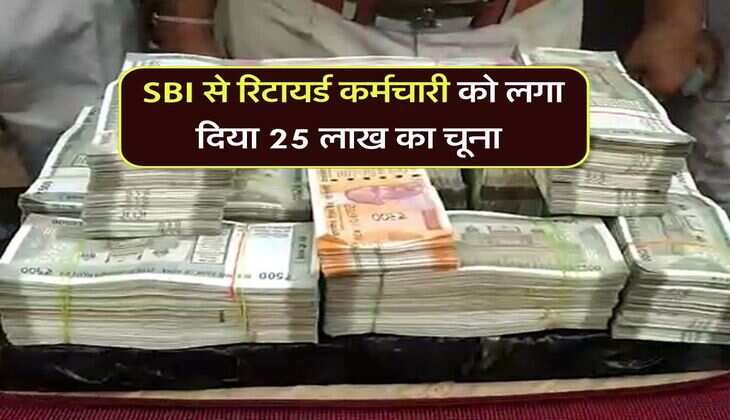 SBI से रिटायर्ड कर्मचारी को लगा दिया 25 लाख का चूना, ऐसे किया खेल