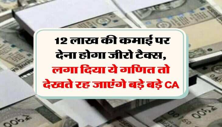 Income Tax : 12 लाख की कमाई पर देना होगा जीरो टैक्स, लगा दिया ये गणित तो देखते रह जाएंगे बड़े बड़े CA