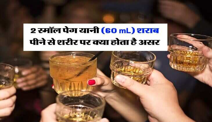Liquor Wine : 2 स्मॉल पेग यानी (60 mL) शराब पीने से शरीर पर क्या होता है असर, जानें एक्सपर्ट की राय