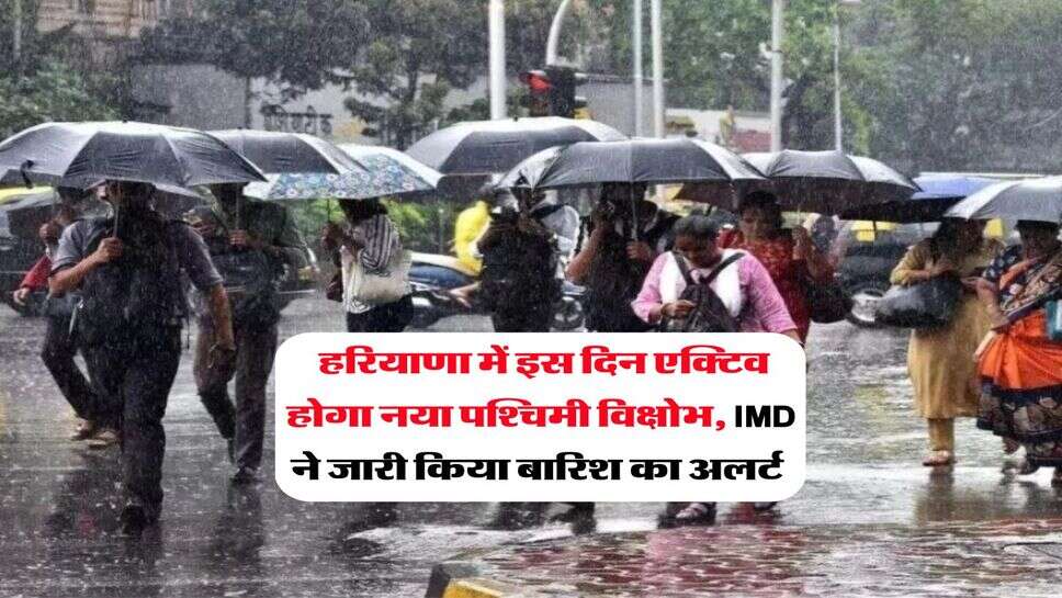 Weather Update : हरियाणा में इस दिन एक्टिव होगा नया पश्चिमी विक्षोभ, IMD ने जारी किया बारिश का अलर्ट&nbsp;
