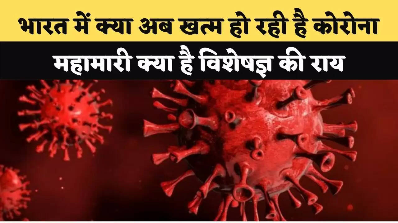 भारत में क्या अब खत्म हो रही है कोरोना महामारी, जानें- इस सवाल पर क्या है विशेषज्ञ की राय