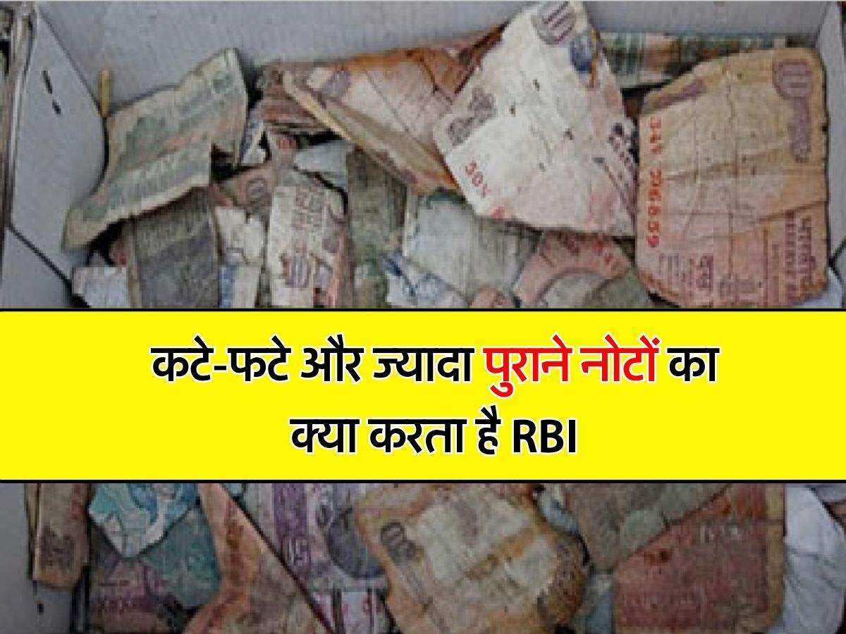 Reserve Bank of India : कटे-फटे और ज्यादा पुराने नोटों का क्या करता है RBI, अधिकत्तर लोगों को नहीं पता है ये बात