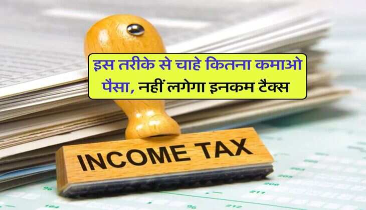 Income Tax : इस तरीके से चाहे कितना कमाओ पैसा, नहीं लगेगा इनकम टैक्स