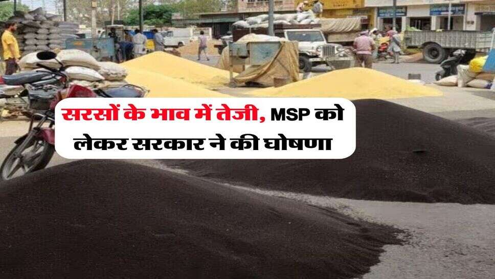 Sarso Rate : सरसों के भाव में तेजी, MSP को लेकर सरकार ने की घोषणा