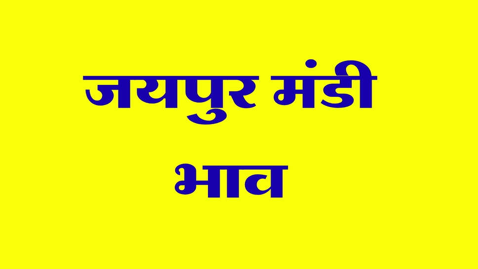 Jaipur Mandi Bhav: ग्वार सीड और गम के भाव गिरे, सरसों मिल डिलवरी महंगी हुई
