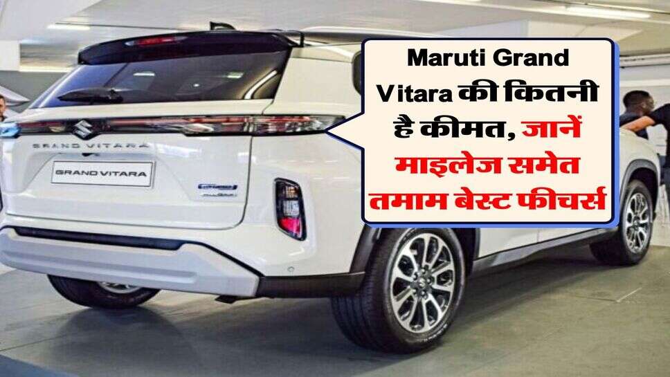 Maruti Grand Vitara की कितनी है कीमत, जानें माइलेज समेत तमाम बेस्ट फीचर्स