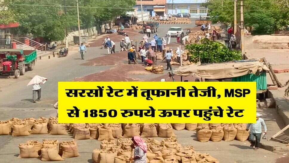 Sarso ka Mandi Bhav : सरसों रेट में तूफानी तेजी, MSP से 1850 रुपये ऊपर पहुंचे रेट&nbsp;