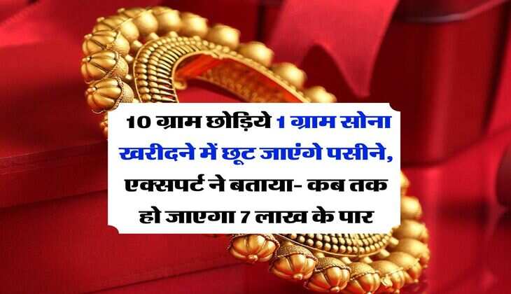 Gold Rate : 10 ग्राम छोड़िये 1 ग्राम सोना खरीदने में छूट जाएंगे पसीने, एक्सपर्ट ने बताया- कब तक हो जाएगा 7 लाख के पार