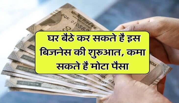 Business Ideas : घर बैठे कर सकते है इस बिजनेस की शुरूआत, कमा सकते है मोटा पैसा