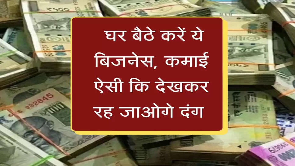 सरकार की मदद से घर बैठे करें ये बिजनेस, कमाई ऐसी कि देखकर रह जाओगे दंग&nbsp;