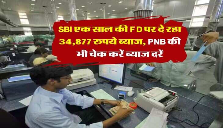 SBI एक साल की FD पर दे रहा 34,877 रुपये ब्याज, PNB की भी चेक करें ब्याज दरें