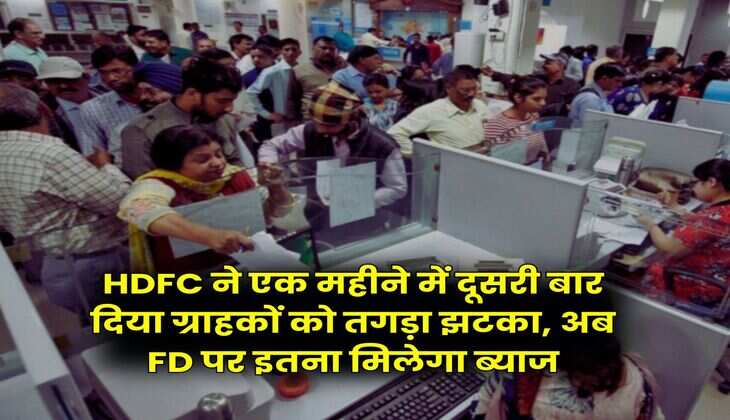 HDFC ने एक महीने में दूसरी बार दिया ग्राहकों को तगड़ा झटका, अब FD पर इतना मिलेगा ब्याज
