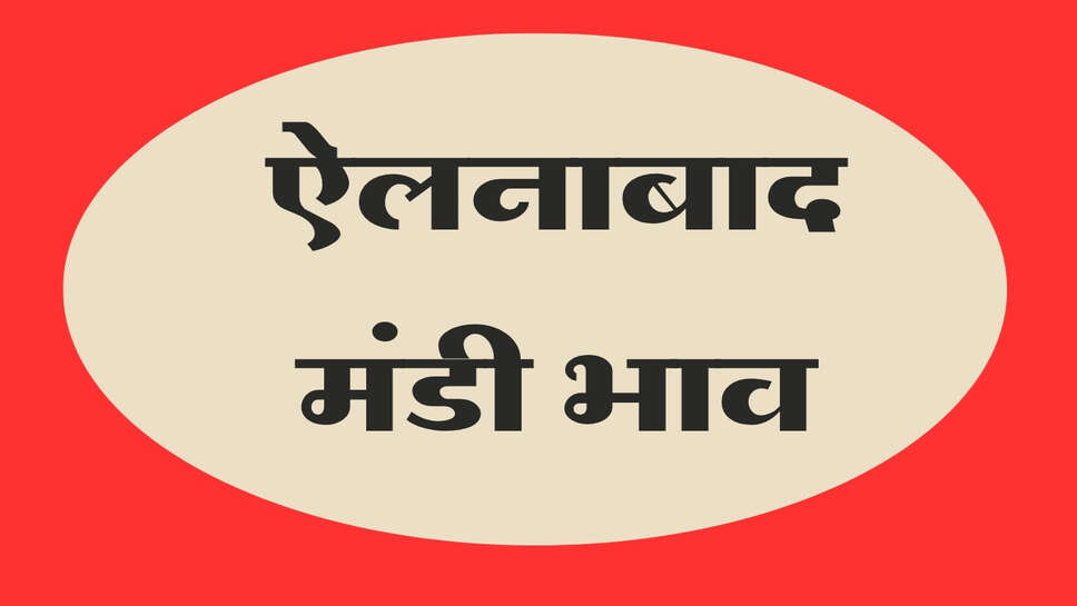 ऐलनाबाद मंडी भाव 18 अक्टूबर 2026: नरमा, कपास, चना, मुंग, और धान के नए भाव जानिए&nbsp;