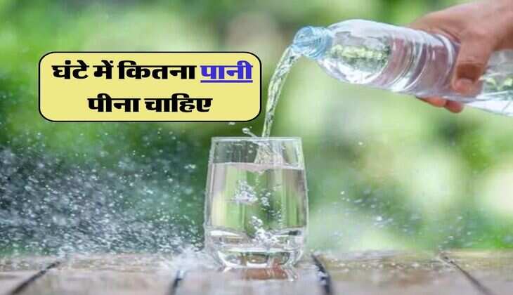 Drinking Water Rule : 1 घंटे में कितना पानी पीना चाहिए, एक्सपर्ट्स ने बताया गजब फॉर्मूला