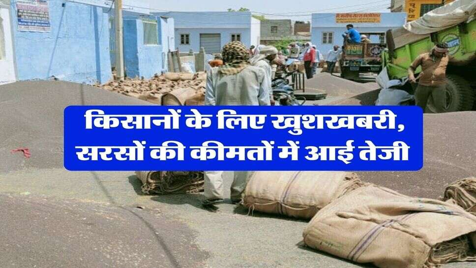 Sarso Bhav : किसानों के लिए खुशखबरी, सरसों की कीमतों में आई तेजी