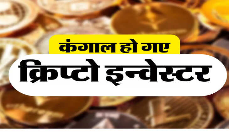 क्रिप्टो इन्वेस्टर 