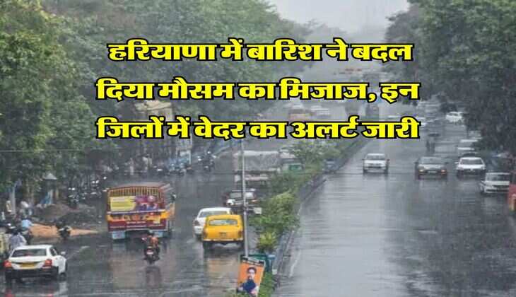 Haryana Weather : हरियाणा में बारिश ने बदल दिया मौसम का मिजाज, इन जिलों में वेदर का अलर्ट जारी