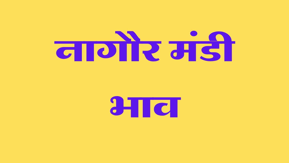 नागौर मंडी भाव: जीरा, सौंफ और ईसबगोल में तेजी, ज्वार व दाणा मेथी में मंदी