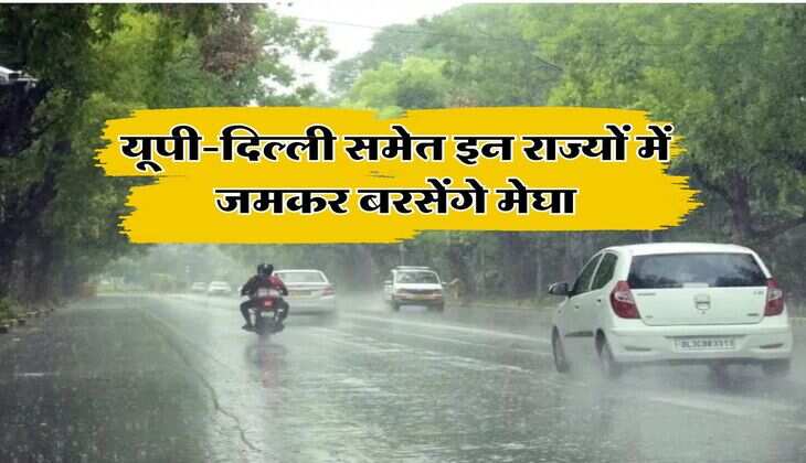 Weather Forecast : यूपी-दिल्ली समेत इन राज्यों में जमकर बरसेंगे मेघा, IMD ने बताया अगले 7 दिन तक कैसा  रहेगा मौसम  