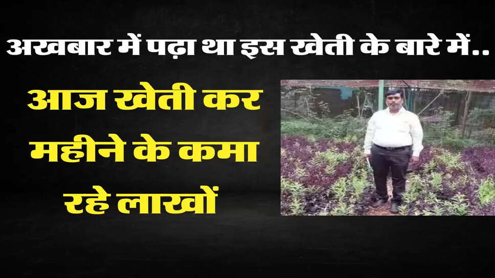 अखबार में पढ़ा था इस खेती के बारे में..., आज खेती कर महीने के कमा रहा लाखों&nbsp;