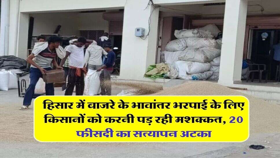 हिसार में बाजरे के भावांतर भरपाई के लिए किसानों को करनी पड़ रही मशक्कत, 20 फीसदी का सत्यापन अटका