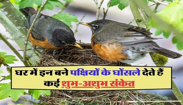 घर में इन बने पक्षियों के घोंसले देते हैं कई शुभ-अशुभ संकेत, जानिए वास्तु शास्त्र के नियम