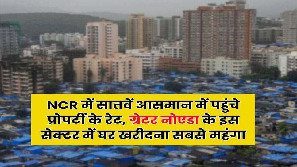 NCR में सातवें आसमान में पहुंचे प्रोपर्टी के रेट, ग्रेटर नाेएडा के इस सेक्टर में घर खरीदना सबसे महंगा